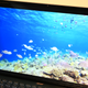 Acer Swift 5